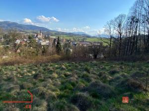 Prodej pozemku pro bydlení, Janovice, 9446 m2