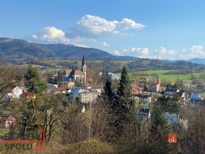 Prodej pozemku pro bydlení, Janovice, 9446 m2