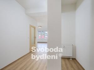 Pronájem bytu 1+kk, Otvovice, 86 m2