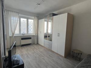 Pronájem bytu 1+1, Olomouc, Starodružiníků, 28 m2