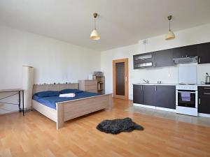 Pronájem bytu 1+kk, Poděbrady, Čechova, 34 m2