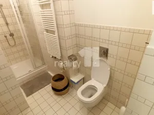 Pronájem bytu 3+kk, Praha - Vinohrady, U Kanálky, 108 m2