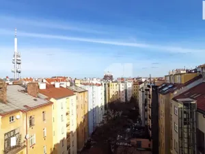 Pronájem bytu 3+kk, Praha - Vinohrady, U Kanálky, 108 m2