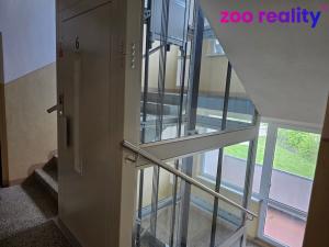 Pronájem bytu 2+1, Chomutov, Pod Břízami, 62 m2