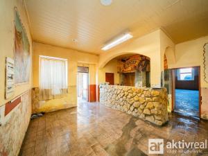 Prodej rodinného domu, Neratovice, Hlavní, 620 m2