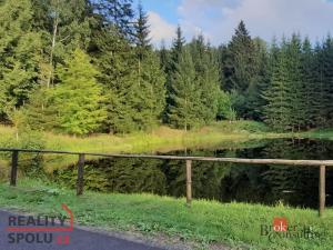Prodej pozemku, Desná - Desná II, Na Moravě, 5094 m2