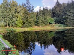 Prodej pozemku, Desná - Desná II, Na Moravě, 5094 m2