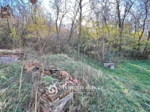 Prodej - jiné, Dyjákovičky, 226 m2