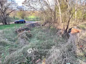 Prodej - jiné, Dyjákovičky, 226 m2