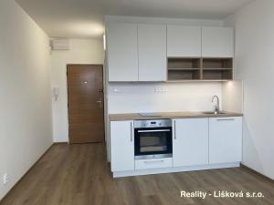 Pronájem bytu 1+kk, Ústí nad Labem - Ústí nad Labem-centrum, Malátova, 25 m2