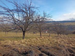 Prodej zahrady, Bojkovice, 2785 m2