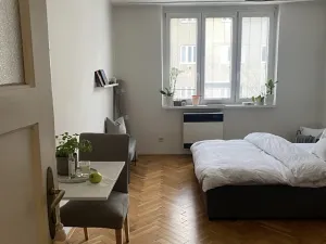 Pronájem bytu 1+kk, Praha - Dejvice, Koulova, 25 m2