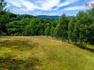 Prodej komerčního pozemku, Dlouhý Most, 8531 m2