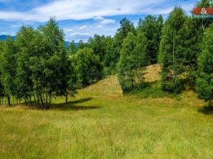 Prodej komerčního pozemku, Dlouhý Most, 8531 m2