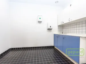 Pronájem kanceláře, Praha - Motol, Plzeňská, 653 m2