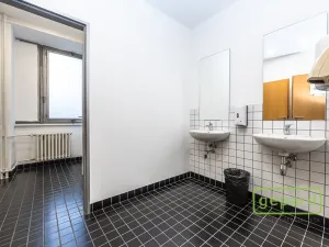 Pronájem kanceláře, Praha - Motol, Plzeňská, 653 m2