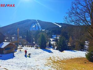 Pronájem bytu 1+kk, Harrachov, 12 m2