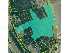 Prodej lesa, Běštín, 21632 m2