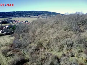 Prodej lesa, Běštín, 21632 m2