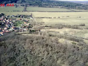 Prodej lesa, Běštín, 21632 m2