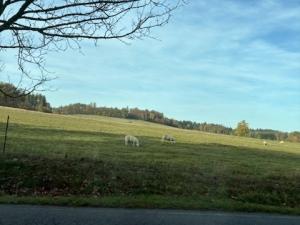 Prodej rodinného domu, Ondřejov - Třemblat, Výstavní, 310 m2