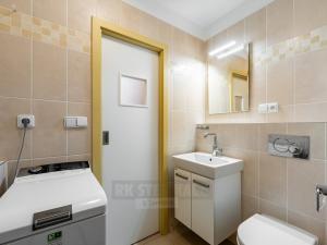 Prodej bytu 1+kk, České Budějovice - České Budějovice 3, Pekárenská, 20 m2