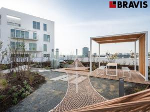 Pronájem bytu 2+kk, Brno - Staré Brno, Fuchsova, 73 m2