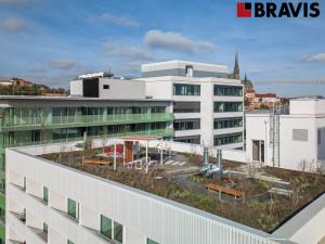 Pronájem bytu 2+kk, Brno - Staré Brno, Fuchsova, 73 m2