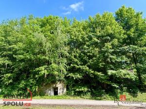 Prodej pozemku pro bydlení, Mírová pod Kozákovem - Sekerkovy Loučky, 1151 m2