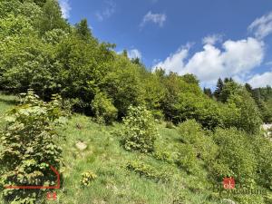 Prodej pozemku pro bydlení, Janov nad Nisou - Hraničná, 1161 m2