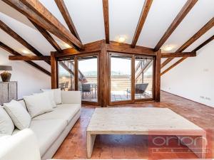 Pronájem bytu 4+kk, Praha - Vinohrady, Ibsenova, 220 m2