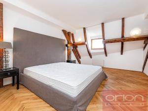 Pronájem bytu 4+kk, Praha - Vinohrady, Ibsenova, 220 m2