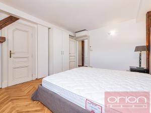 Pronájem bytu 4+kk, Praha - Vinohrady, Ibsenova, 220 m2