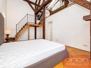 Pronájem bytu 4+kk, Praha - Vinohrady, Ibsenova, 220 m2