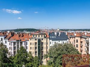 Pronájem bytu 4+kk, Praha - Vinohrady, Ibsenova, 220 m2