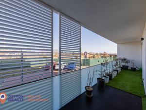 Prodej bytu 3+kk, Olomouc, Ostrovní, 263 m2