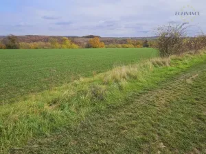 Prodej pozemku pro bydlení, Otvovice, 534 m2