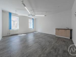 Pronájem kanceláře, Ostrava - Přívoz, Libušina, 29 m2