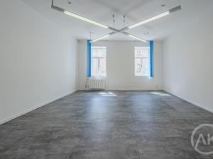 Pronájem kanceláře, Ostrava - Přívoz, Libušina, 29 m2