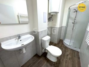 Pronájem bytu 1+kk, Ostrava - Přívoz, Palackého, 29 m2
