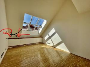 Pronájem bytu 6+kk a větší, Praha - Bubeneč, Ovenecká, 265 m2