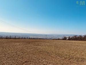 Prodej zahrady, Dobšice, 7000 m2