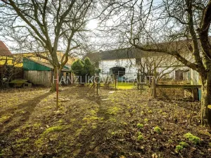 Prodej zemědělské usedlosti, Branišov, 300 m2
