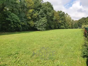 Prodej pozemku pro bydlení, Louňovice, Na Konci, 4297 m2