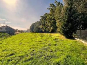 Prodej pozemku pro bydlení, Louňovice, Na Konci, 4297 m2