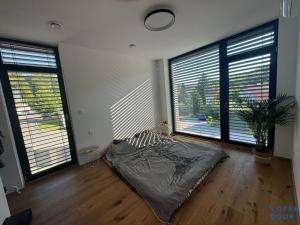 Pronájem bytu 2+kk, Praha - Dejvice, Pokojná, 44 m2