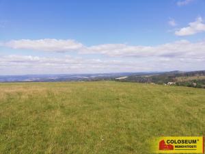 Prodej pole, Velenov, 1032 m2