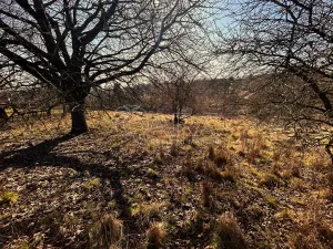 Prodej pozemku pro bydlení, Lično, 1777 m2