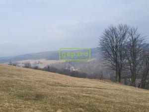 Prodej restaurace, Hora Svaté Kateřiny, nám. Pionýrů, 807 m2