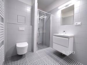 Prodej bytu 2+kk, Písek - Budějovické Předměstí, Zeyerova, 62 m2